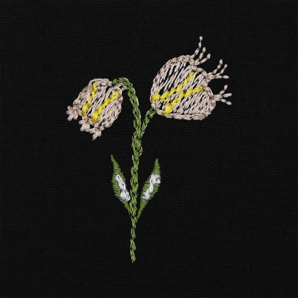 <p>5</p>