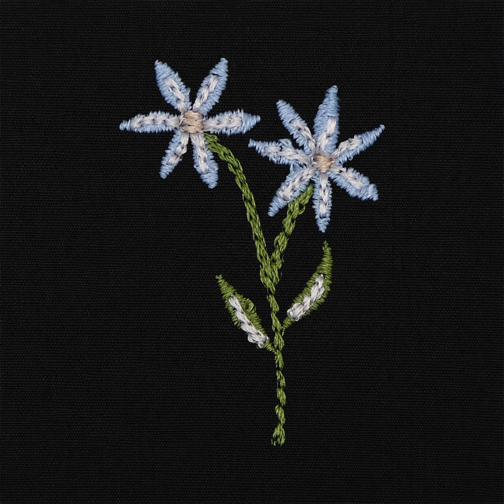 <p>7</p>