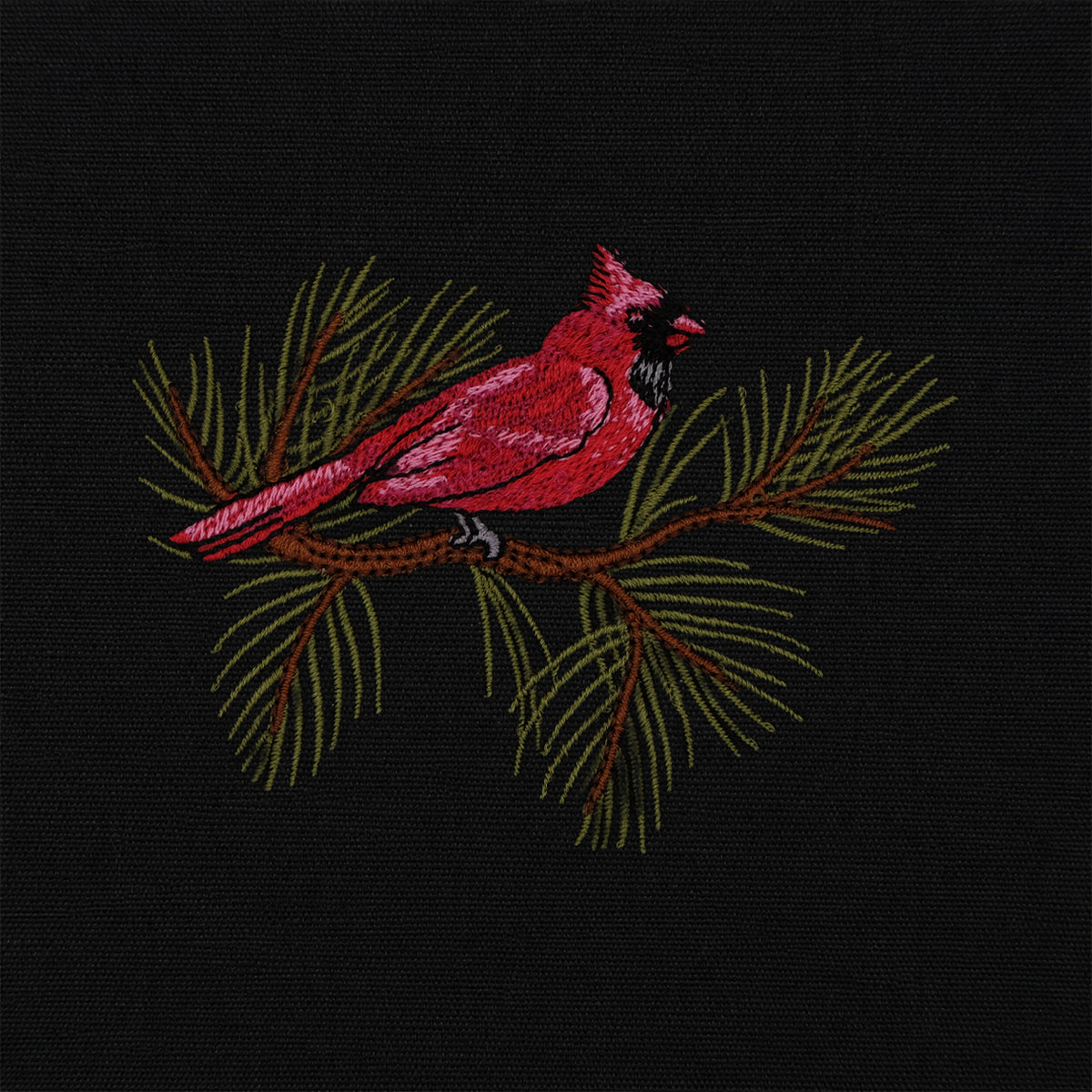 Cardinal Bird